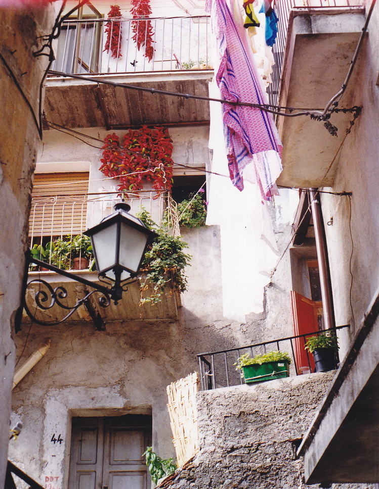 58 Verbicaro.jpg - Finestra a Verbicaro (Cs)